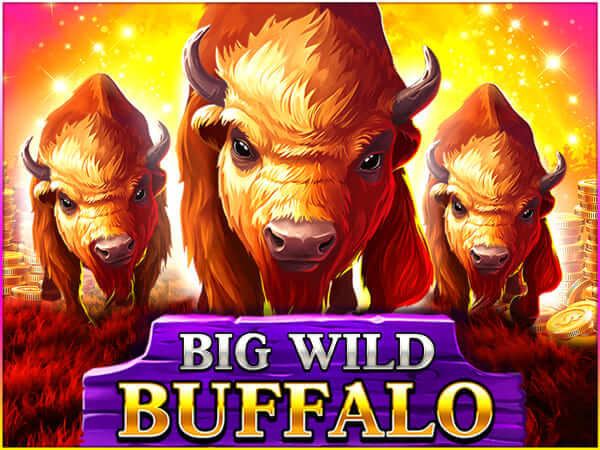 Big wild buffalo logo